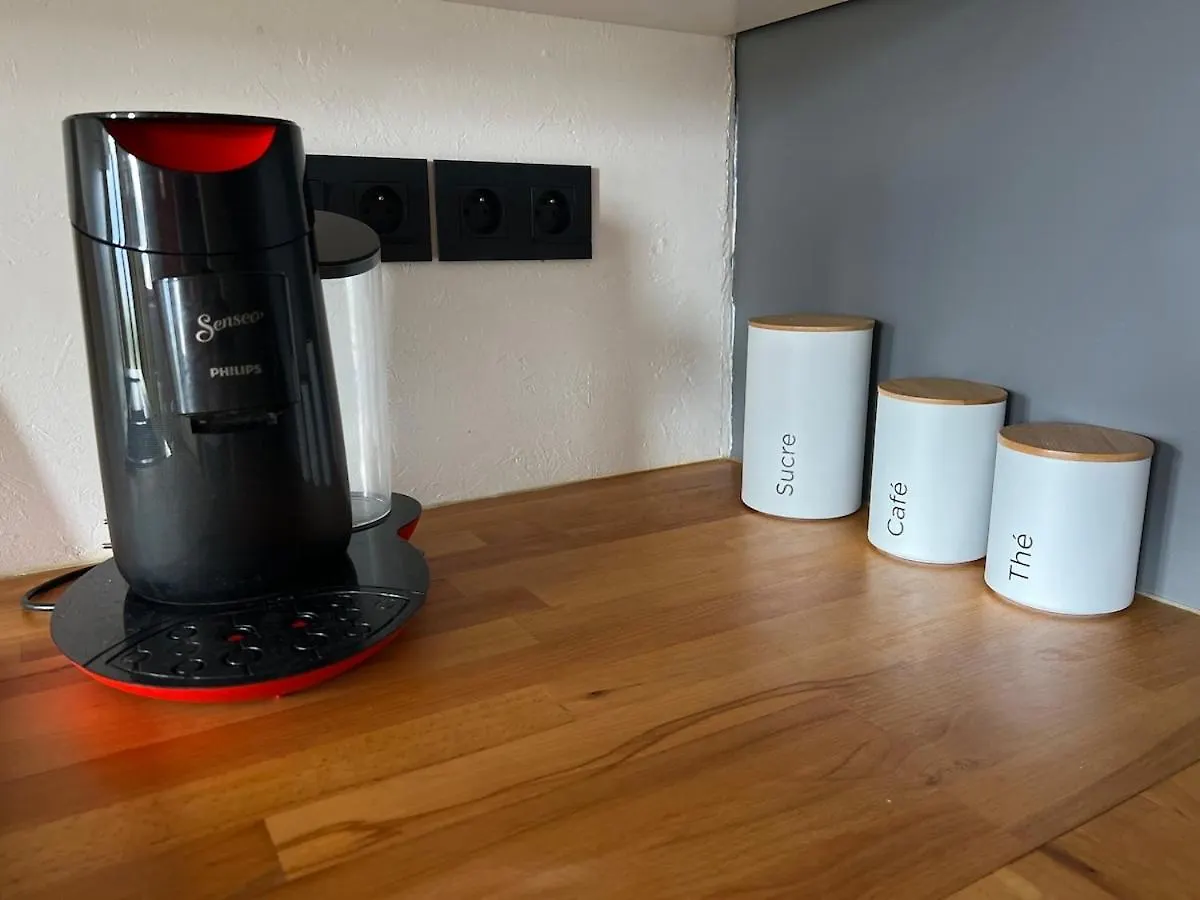 Cocon Des Alpes Apartment Vinzier 0*,